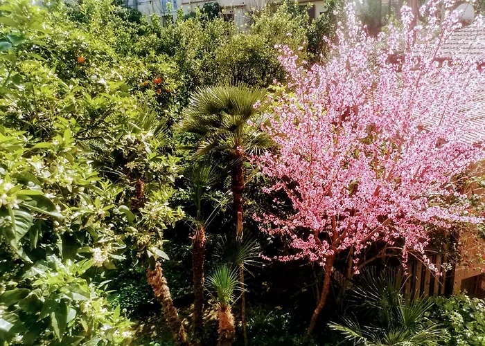 Casa Luisa Appartement Sorrento