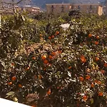 Casa Luisa