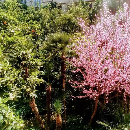 Casa Luisa Appartement Sorrente